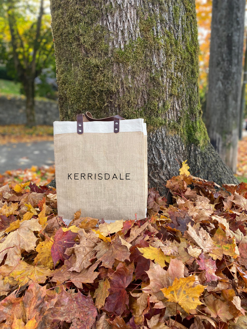 Kerrisdale Market Bag